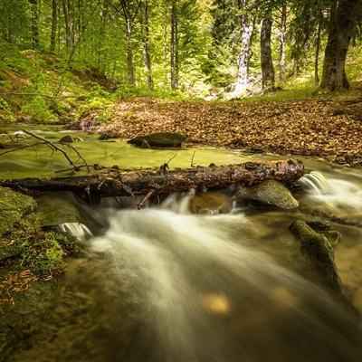 购彩中心下载手机版