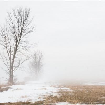 金沙集团186CCapp下载